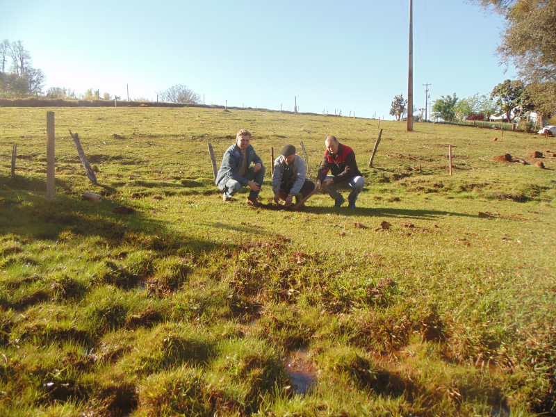 PLANTIO DE MUDAS NATIVAS